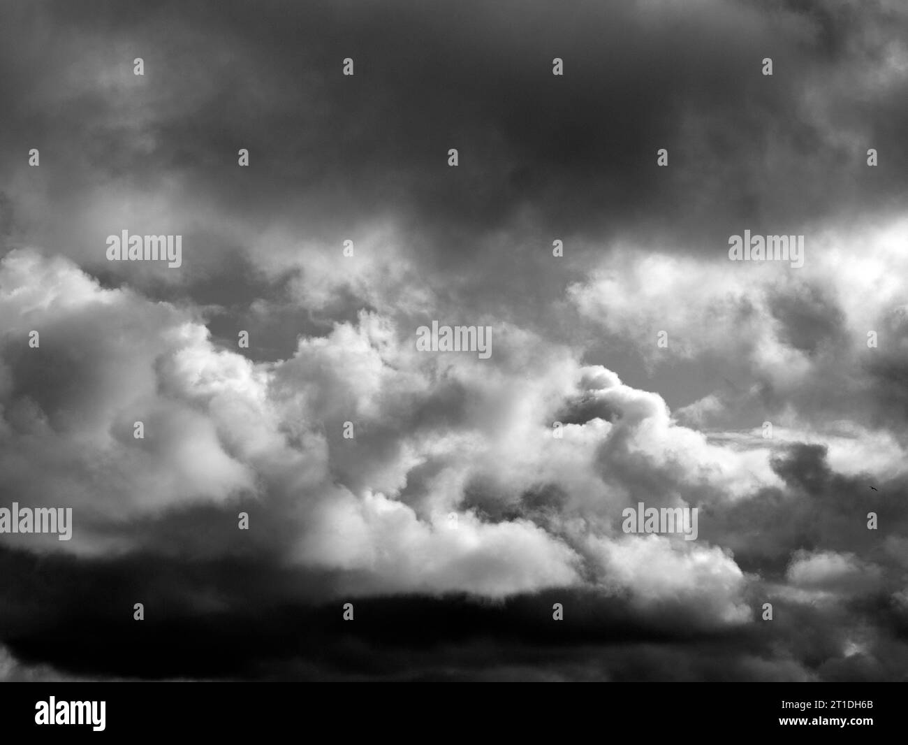 Black and White Beautiful sky with fluffy white clouds over modern city ...