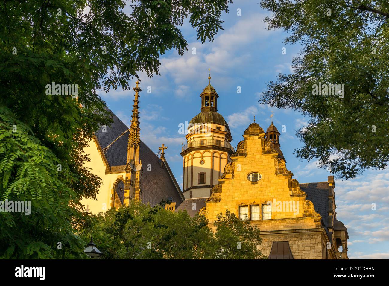 Thomaskirche, Leipzig, Saxony, Germany, Europe Stock Photo