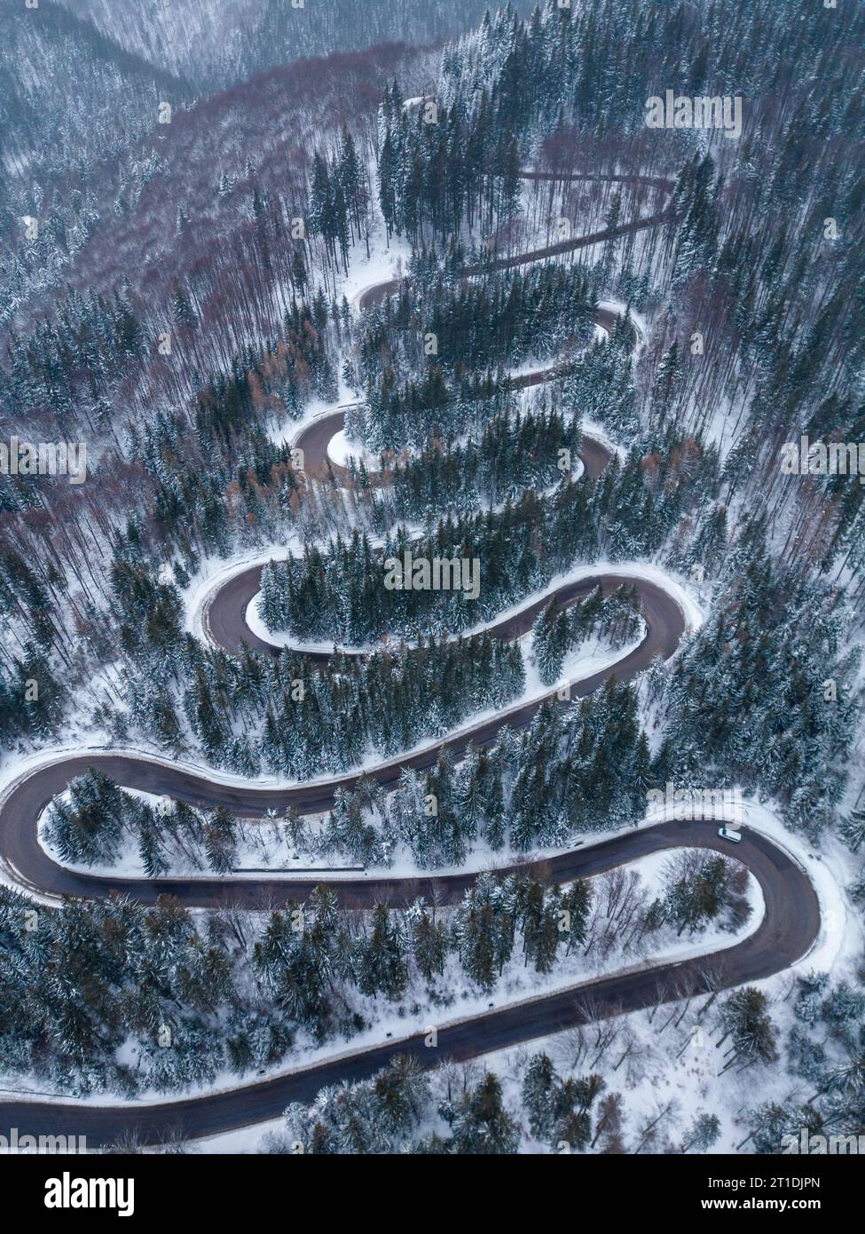 Aerial top down view of winter winding road in the dense forest ...