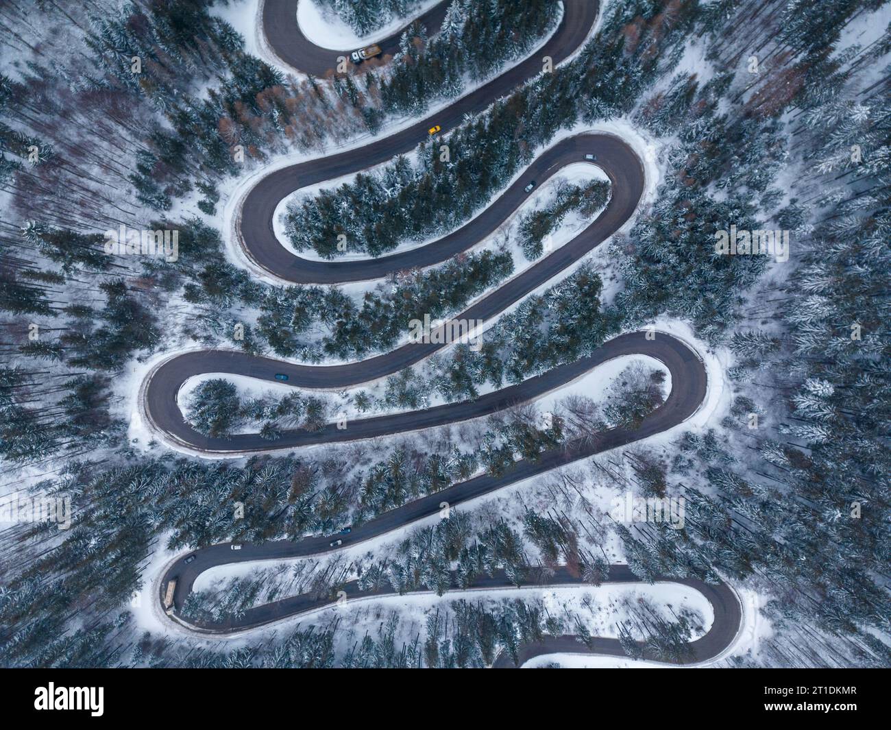 Aerial top down view of winter winding road in the dense forest ...