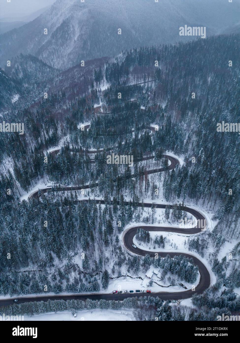 Aerial top down view of winter winding road in the dense forest ...
