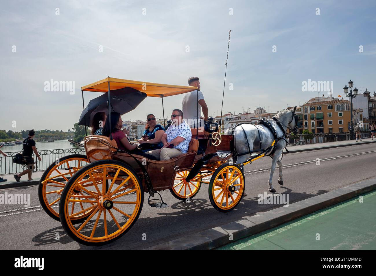 Seville, Spain, Small Group of People, Tourists, Visiting Old City 'Santa Cruz' Neighborhood,in Horse and Buggy Street Scene Stock Photo