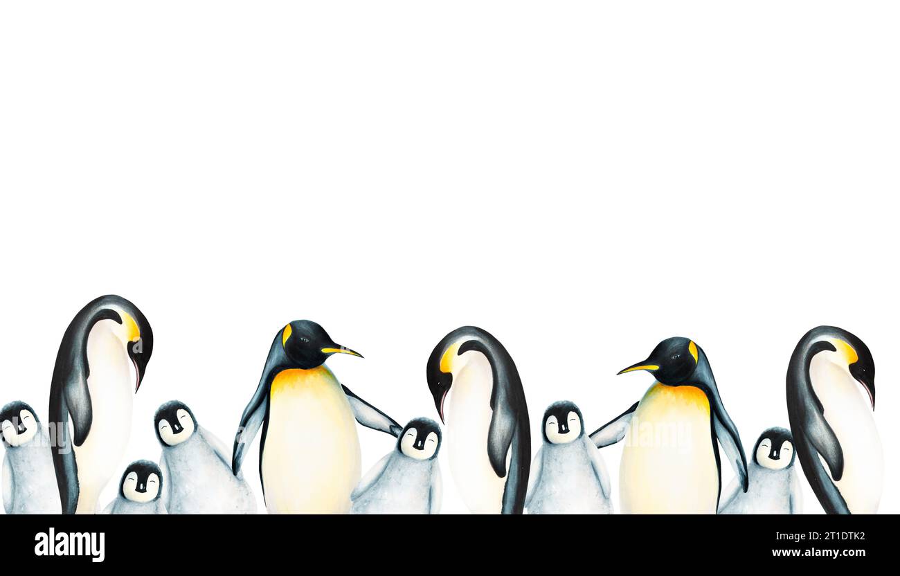 Watercolor seamless border with king penguin family isolated. Hand painting realistic Arctic and Antarctic ocean mammals. For designers, decoration, p Stock Photo