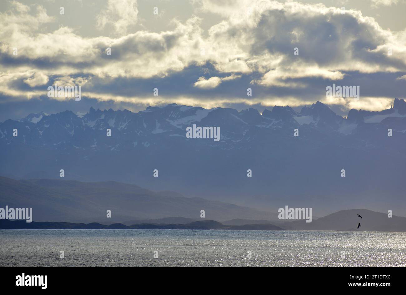 Isla beagle hi-res stock photography and images - Alamy