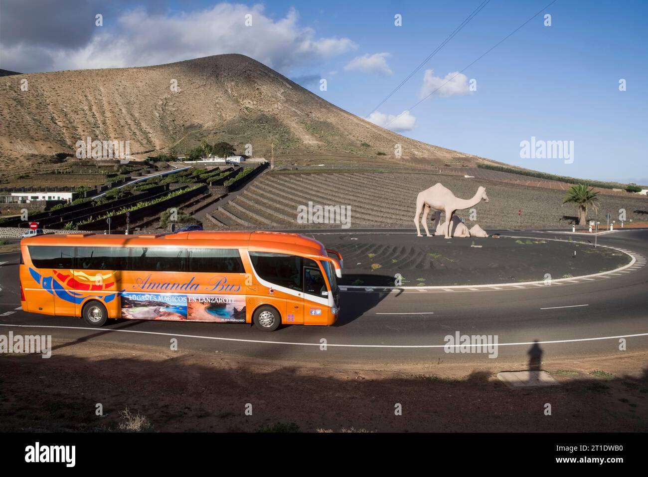 Spain, Canary Islands, Lanzarote: touring bus on a traffic circle with a fake camel Stock Photo