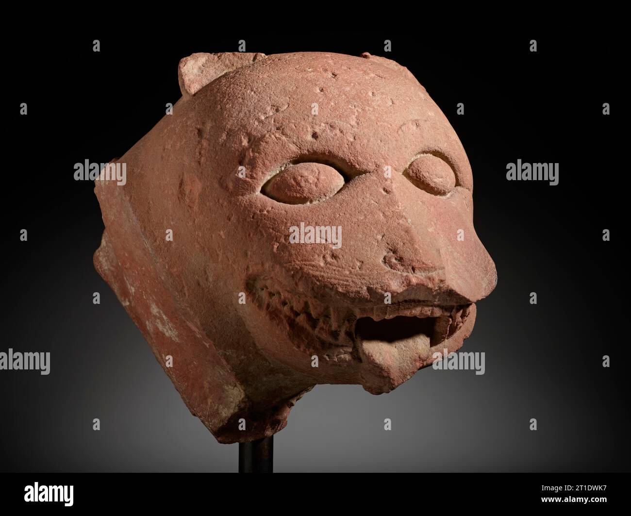 Head of a Lion, 7th century. Stock Photo