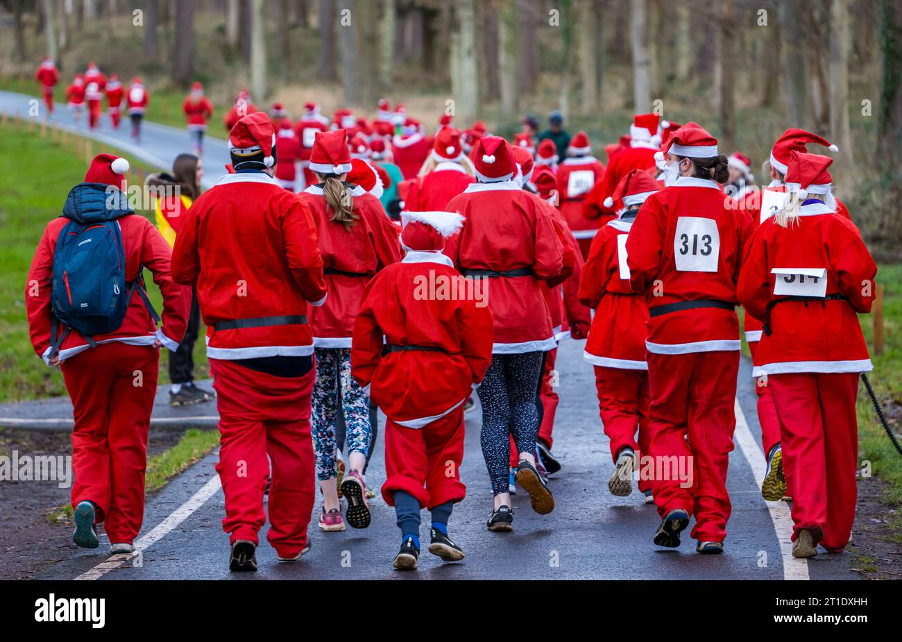 Participants in Santa Run, Dalkeith Country Park, Midlothian, Scotland, UK Stock Photo