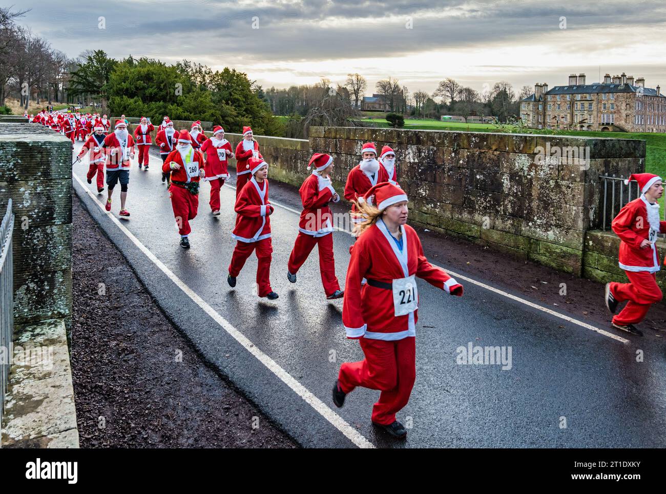 Participants in Santa Run, Dalkeith Country Park, Midlothian, Scotland, UK Stock Photo