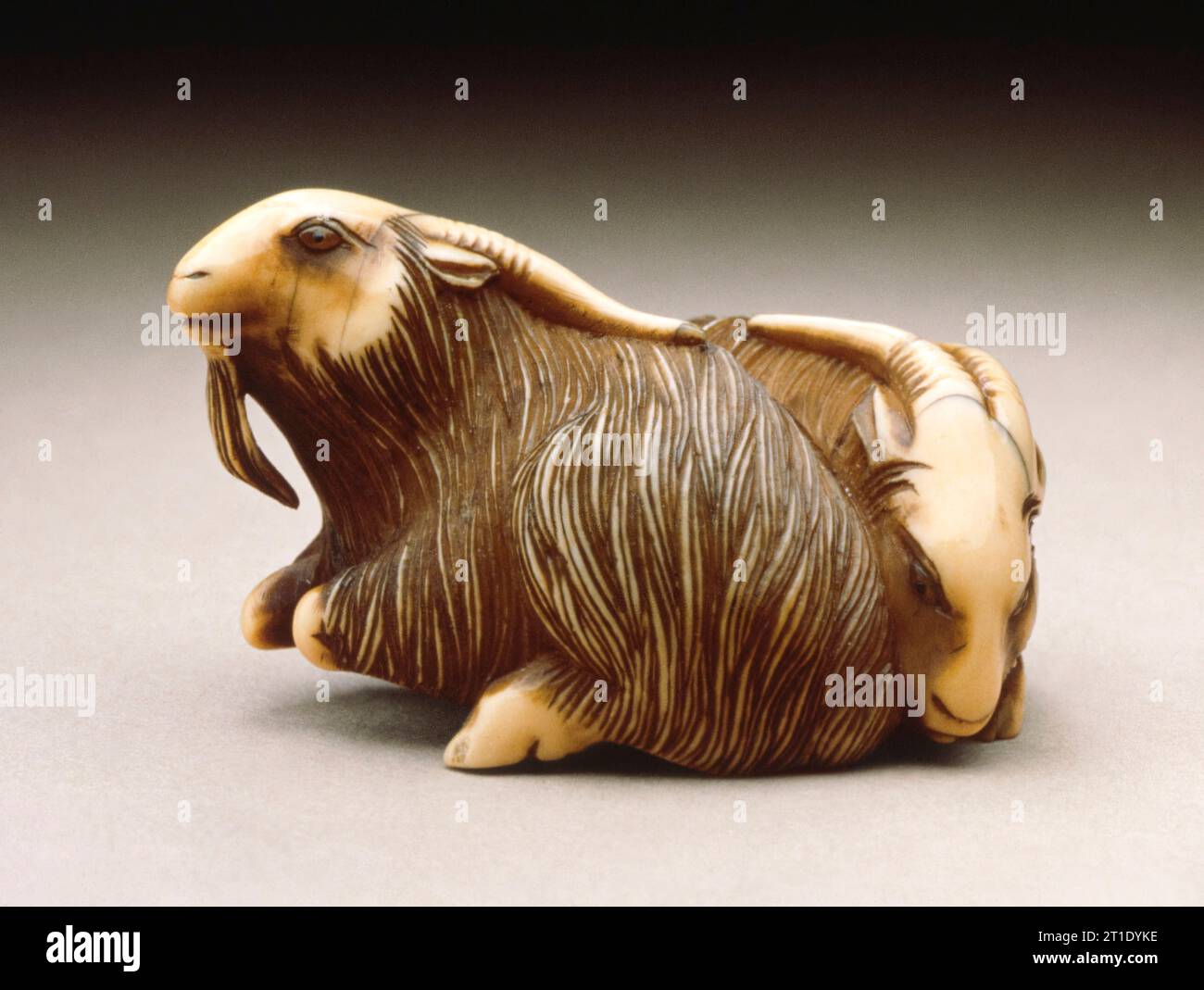 Ivory with staining sumi double inlays hi-res stock photography and ...