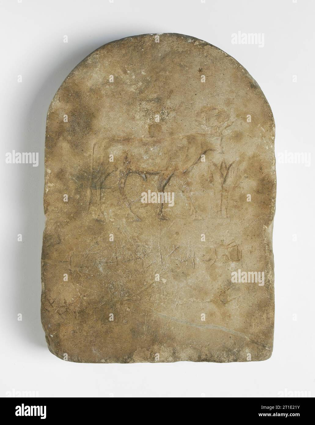 Votive Stele With Relief Of The Apis Bull(?) And A Lotus, Greco 30th 