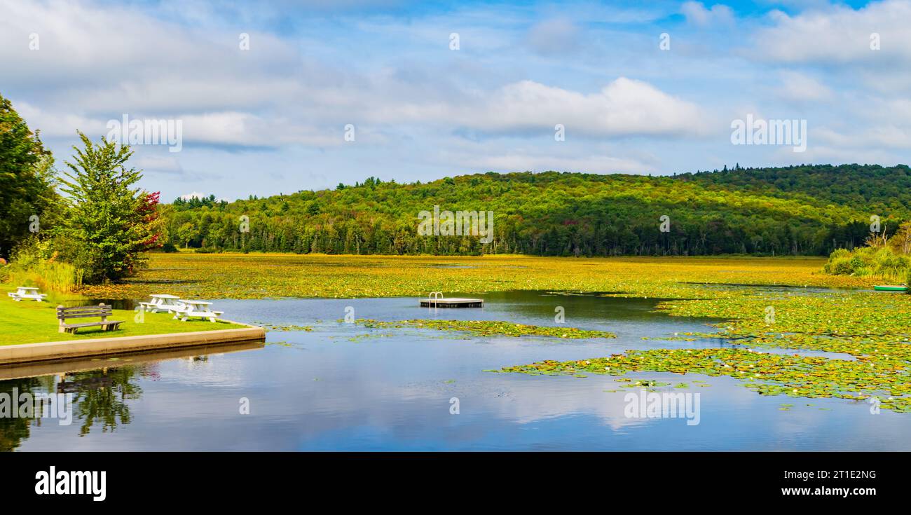 swim raft on Star Lake covered with Lily Pads in Belmont, Vermont Stock ...