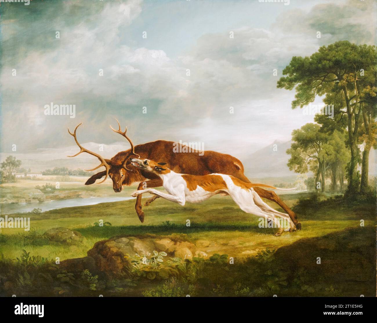 George Stubbs, Hound Coursing a Stag, painting in oil on canvas, circa 1762 Stock Photo