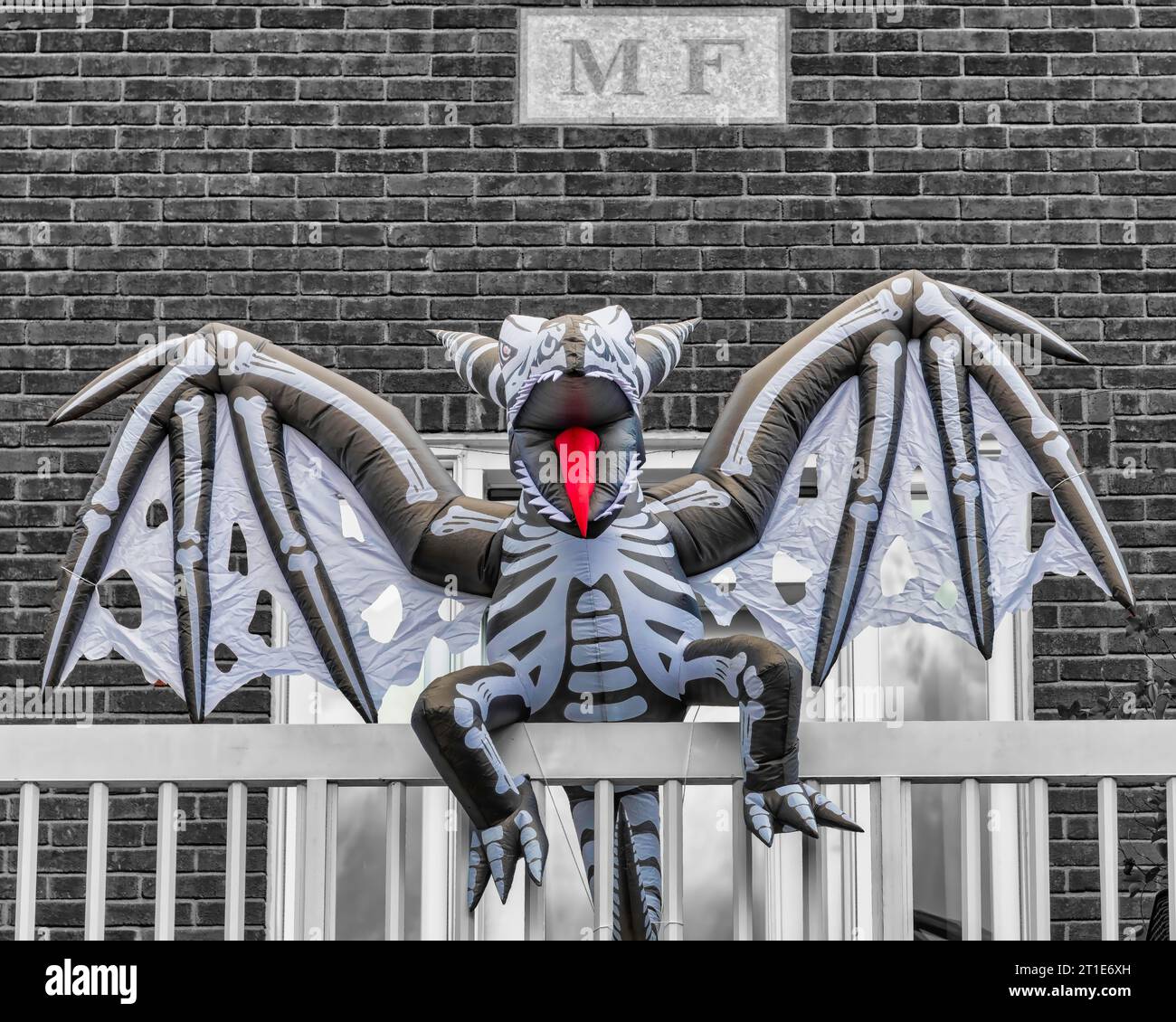 Halloween decoration - Dragon Stock Photo - Alamy