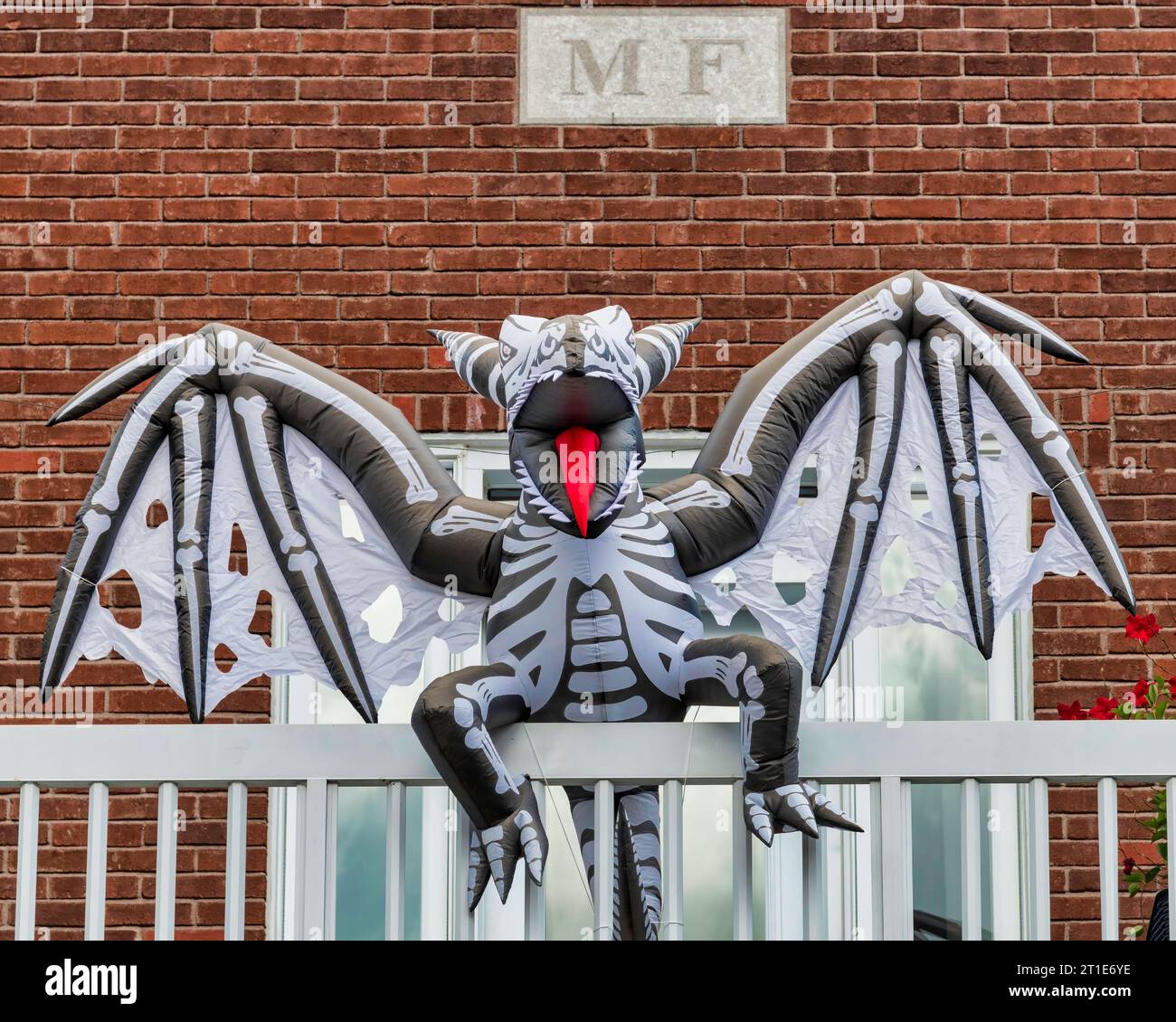 Halloween decorations dragons hires stock photography and images Alamy