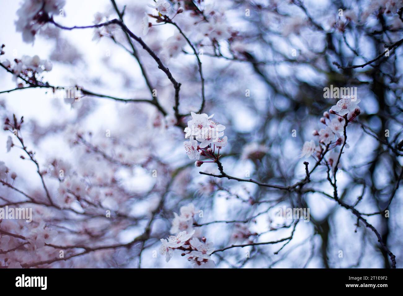 Dagenham, east London Stock Photo Alamy