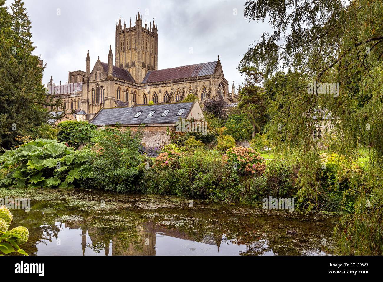 Wells Cathedral From The Gardens Of The Bishop s Palace Wells wells-cathedral-from-the-gardens-of-the-bishop-s-palace-wells
