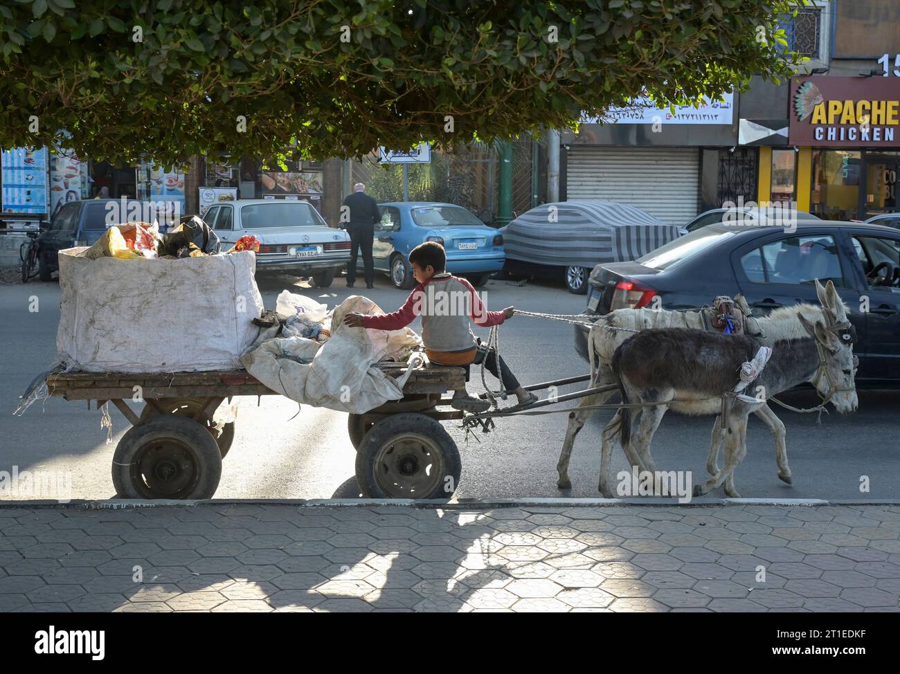 EGYPT, Asyut, city center, waste picker with donkey cart / ÄGYPTEN, Assiut, Stadtzentrum, Müllsammler mit Eselskarren Stock Photo