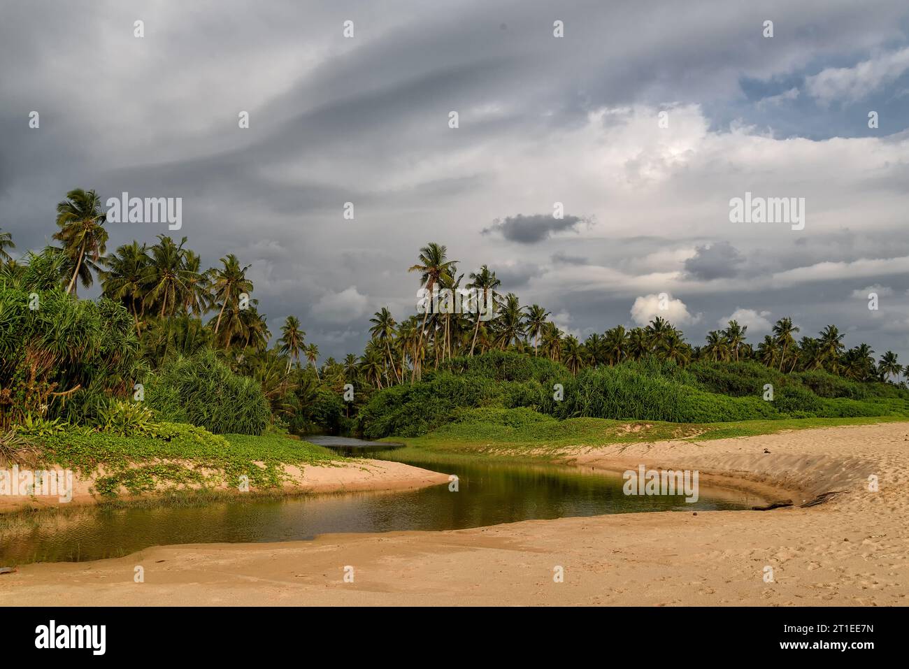 tropical beach at the Indian Ocean in Sri Lanka with palm trees Stock ...