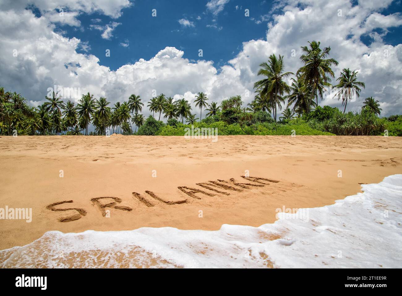 tropical beach at the Indian Ocean in Sri Lanka with palm trees Stock ...