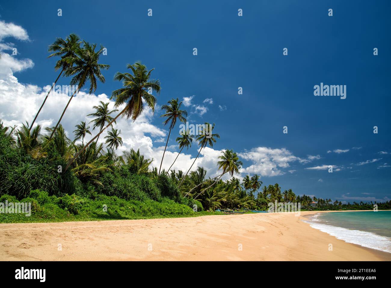 tropical beach at the Indian Ocean in Sri Lanka with palm trees Stock ...