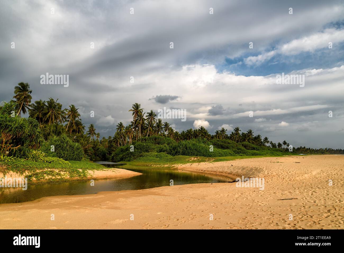 tropical beach at the Indian Ocean in Sri Lanka with palm trees Stock ...