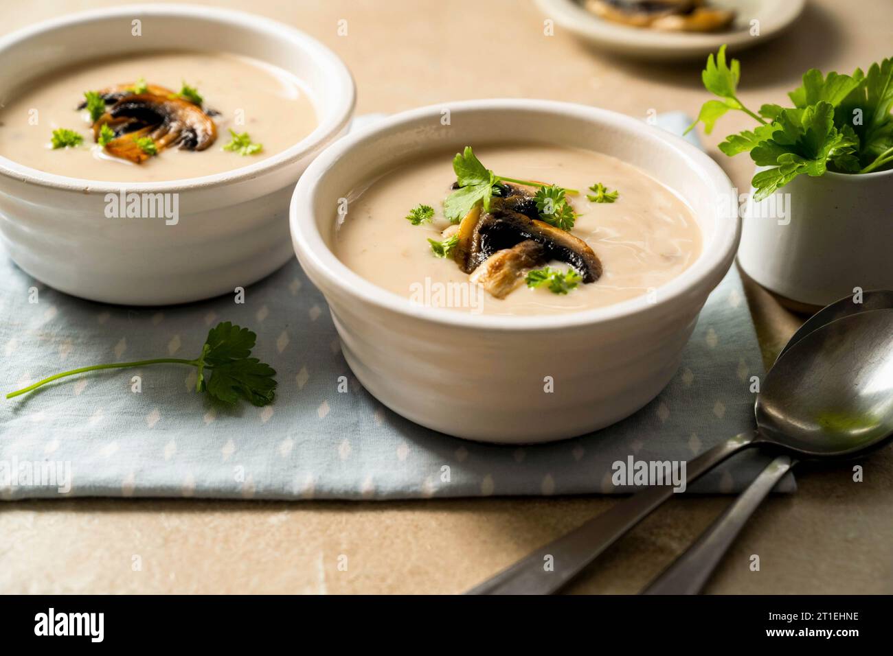 Creamy mushroom soup Stock Photo