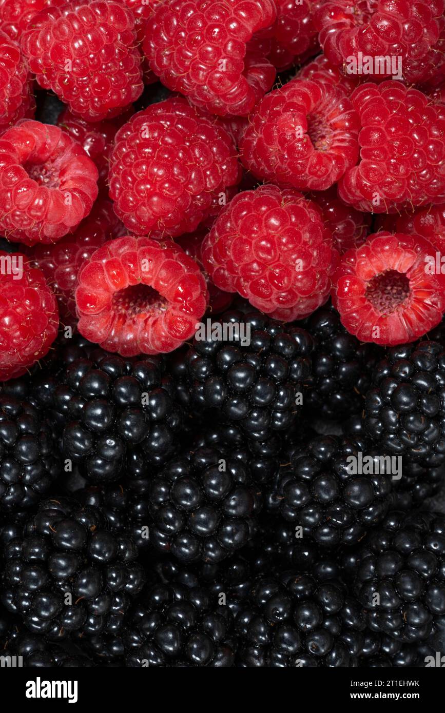 raspberries and blackberries Stock Photo