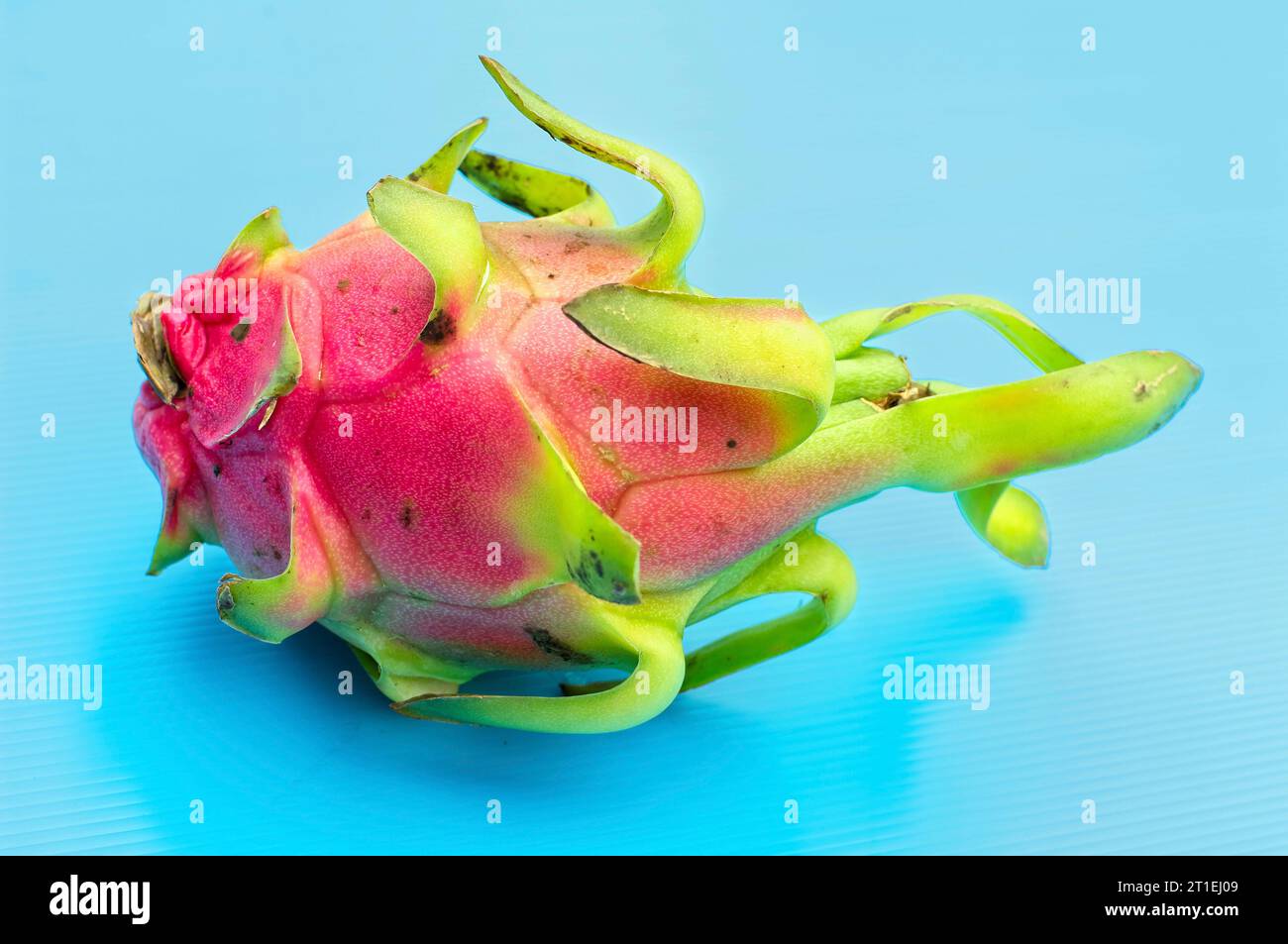 Half a Dragon Fruit with a Spoon Stuck in It Stock Photo