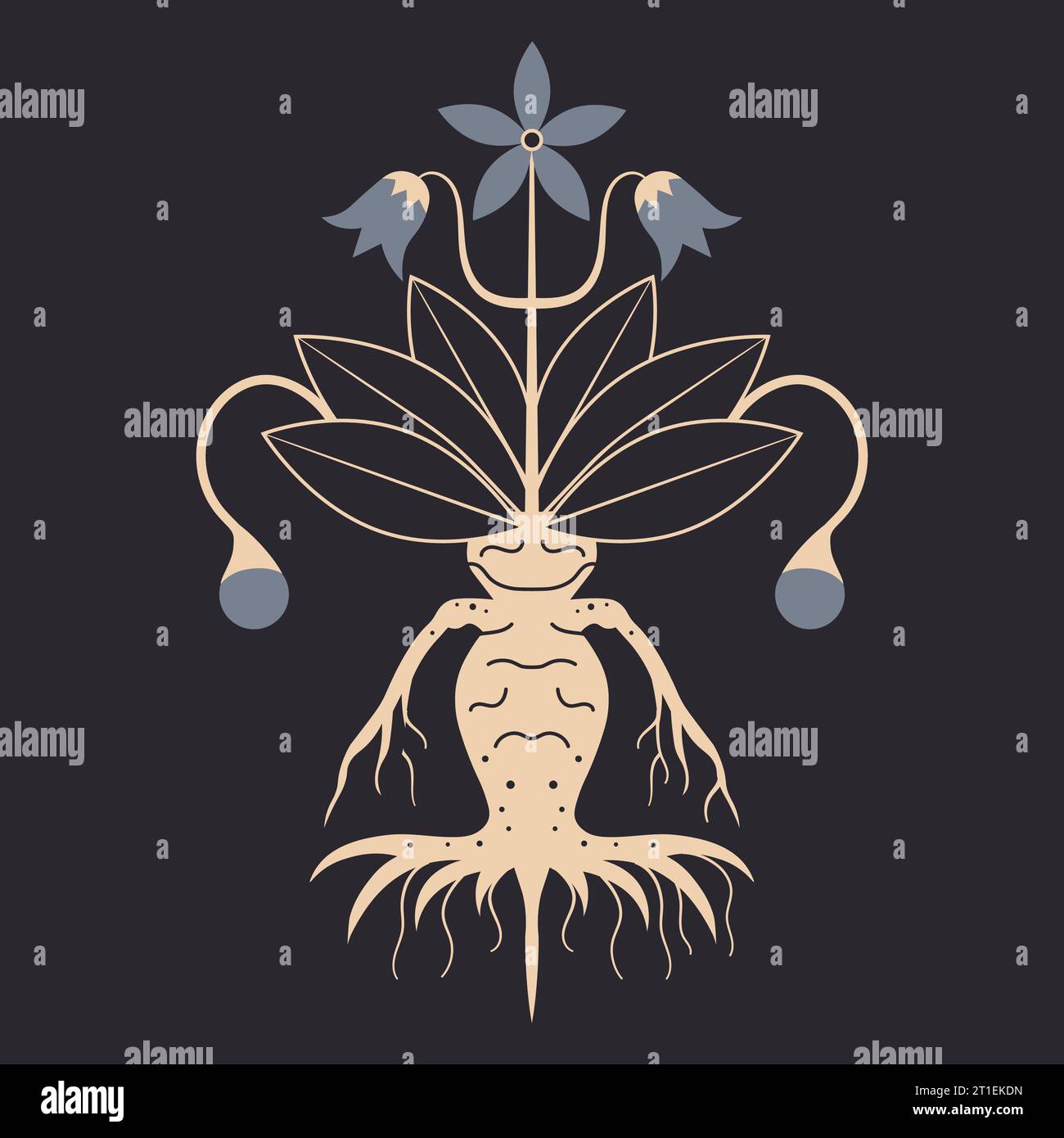 Mandragora Stock Vector Images - Alamy