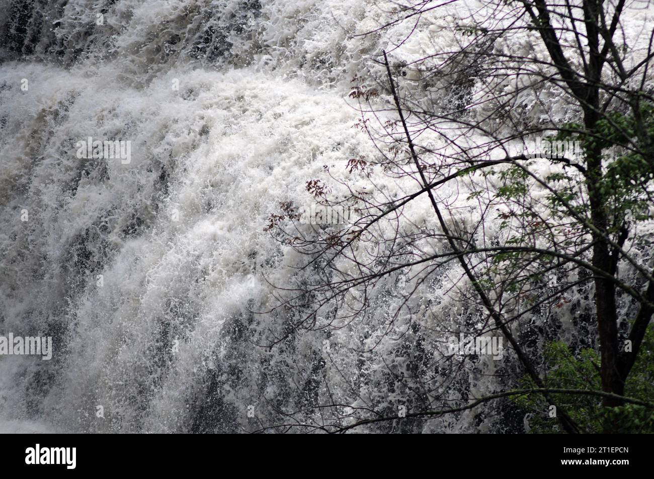 The Albion Falls at Hamilton. Total drop of 63 feet. Stock Photo