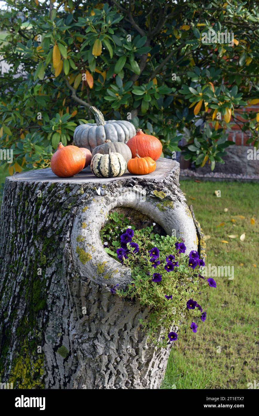 Hoch ranken hires stock photography and images Alamy