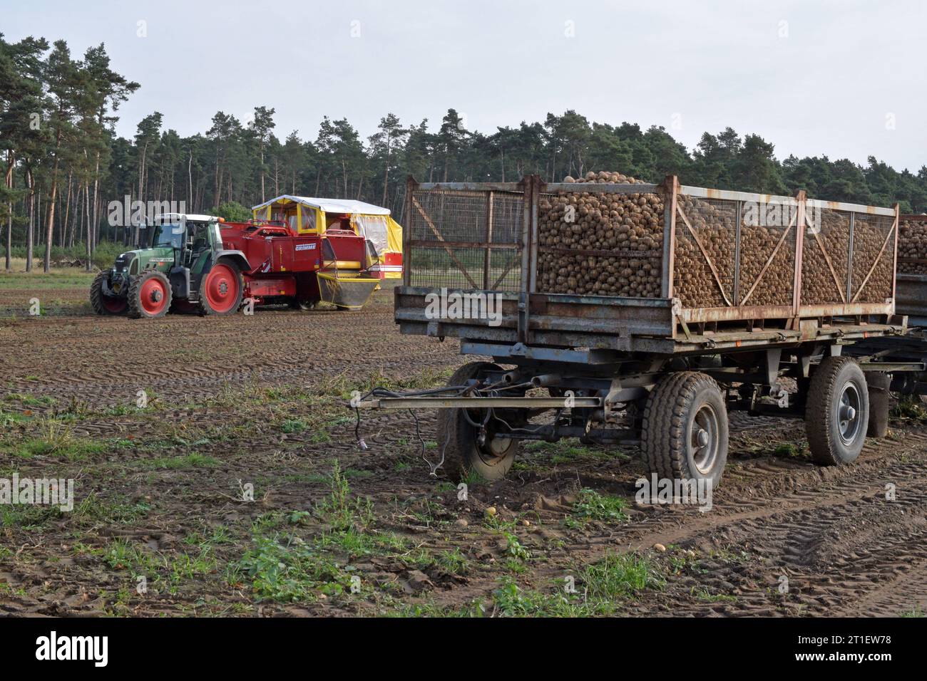 Kartoffelroder im feld hi-res stock photography and images - Alamy