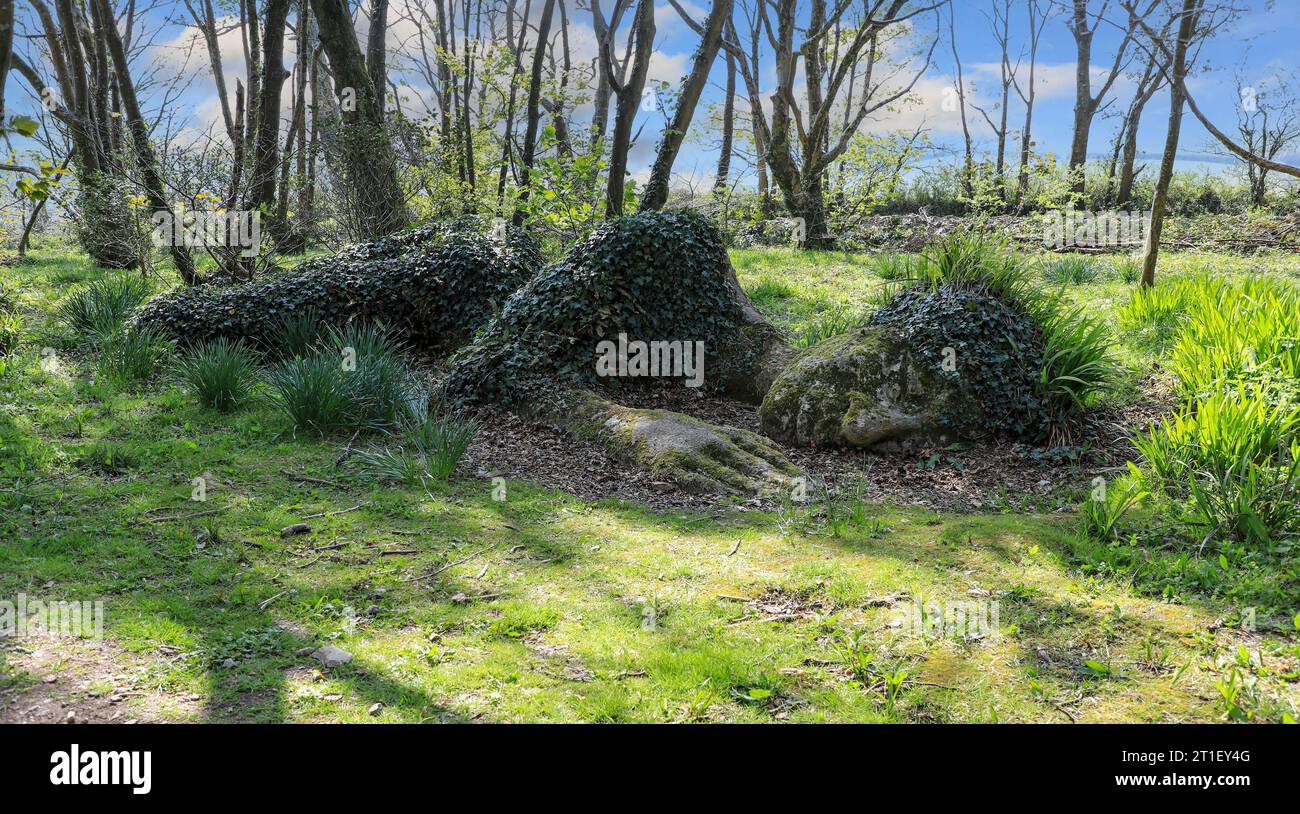 The Mud Maid sculpture at the Lost Gardens of Heligan Cornwall April 2021 Stock Photo