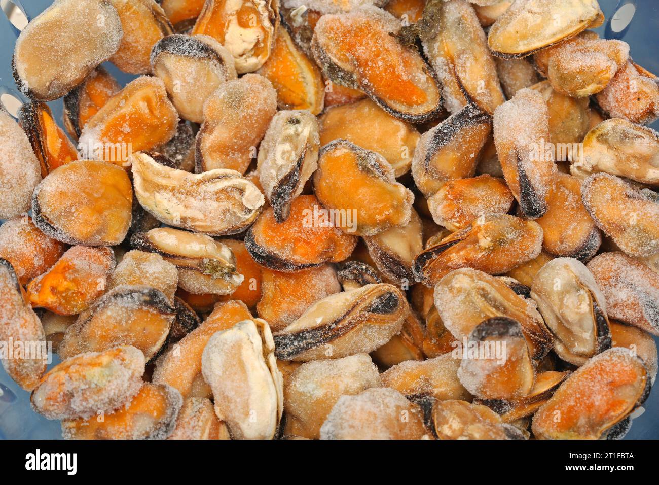 Bunch of Frozen Clams Mussels Sea Food Stock Photo Alamy