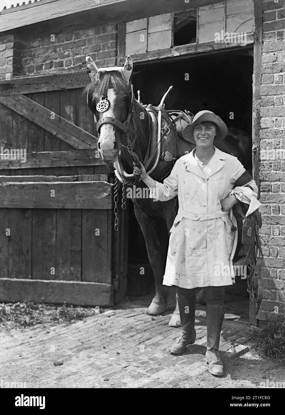 A member of the Women's Land Army leads a horse from the stables on a farm during the First