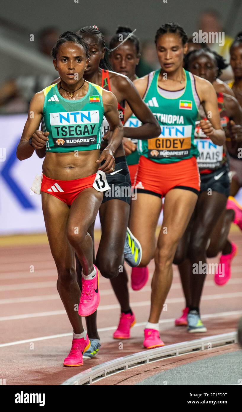 5000m race start hi-res stock photography and images - Alamy