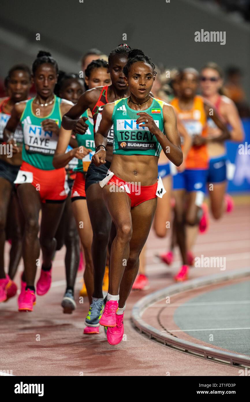 5000m race start line hi-res stock photography and images - Alamy