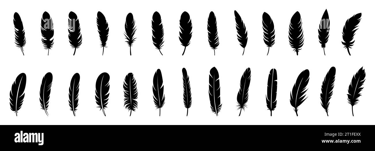 Feather Set icon, logo isolated on white background. Vector ...