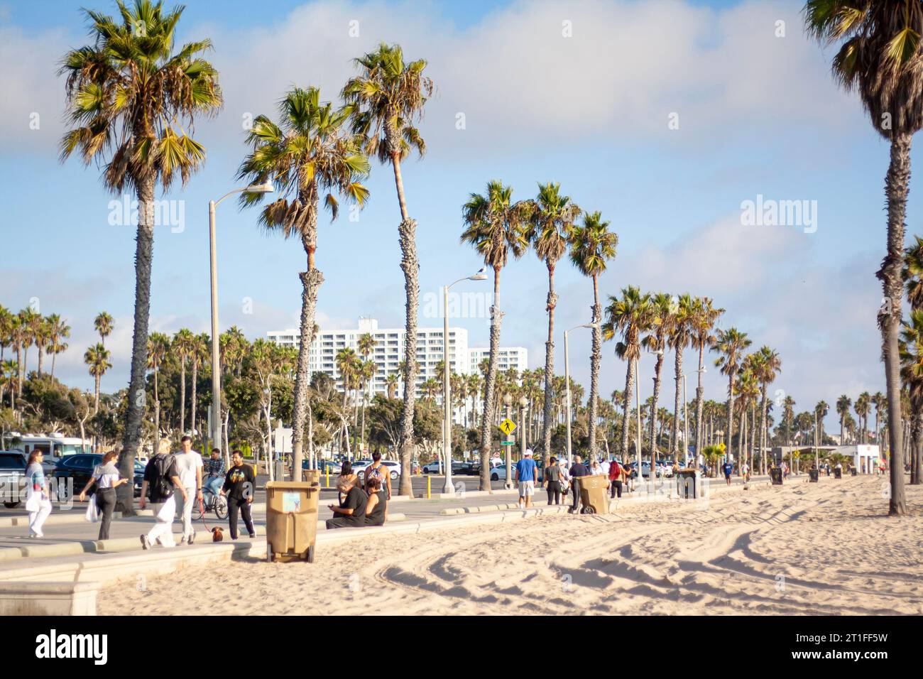 Walking under the palm trees at Santa Monica Beach, California Stock Photo