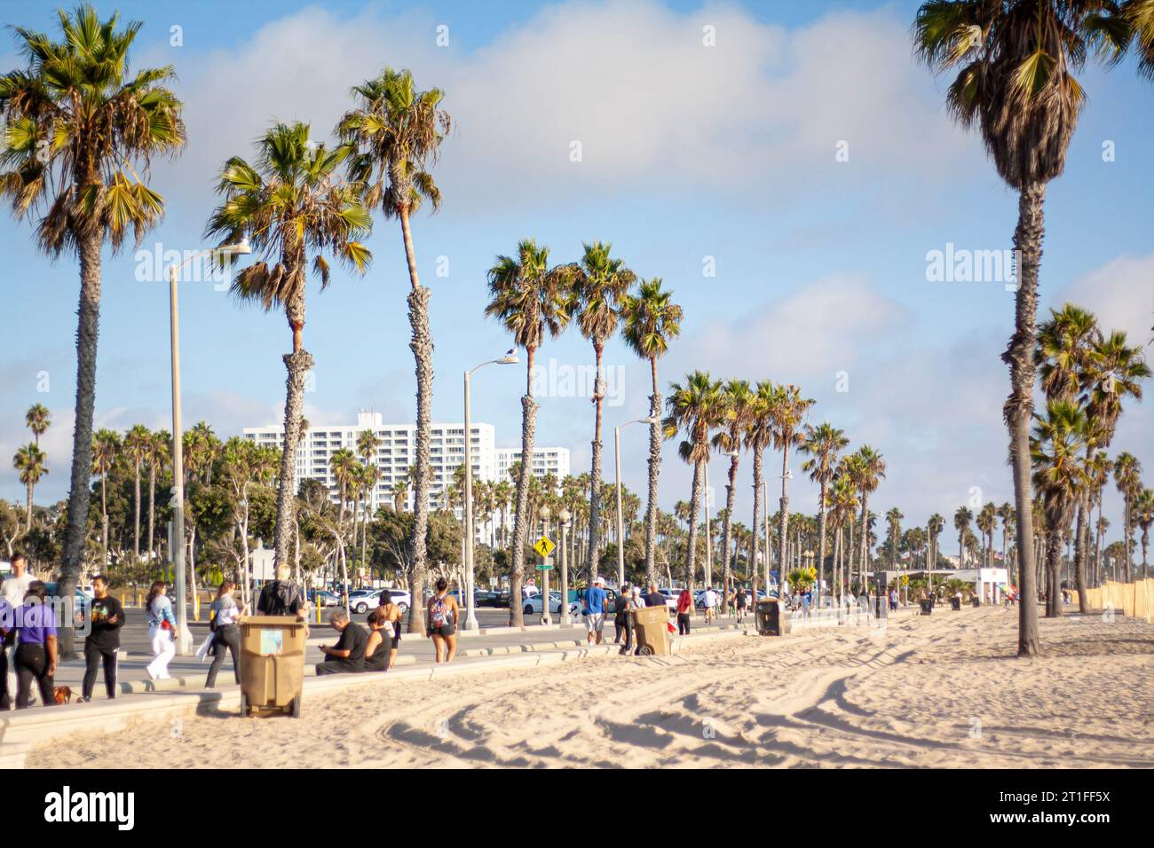 Walking under the palm trees at Santa Monica Beach, California Stock Photo