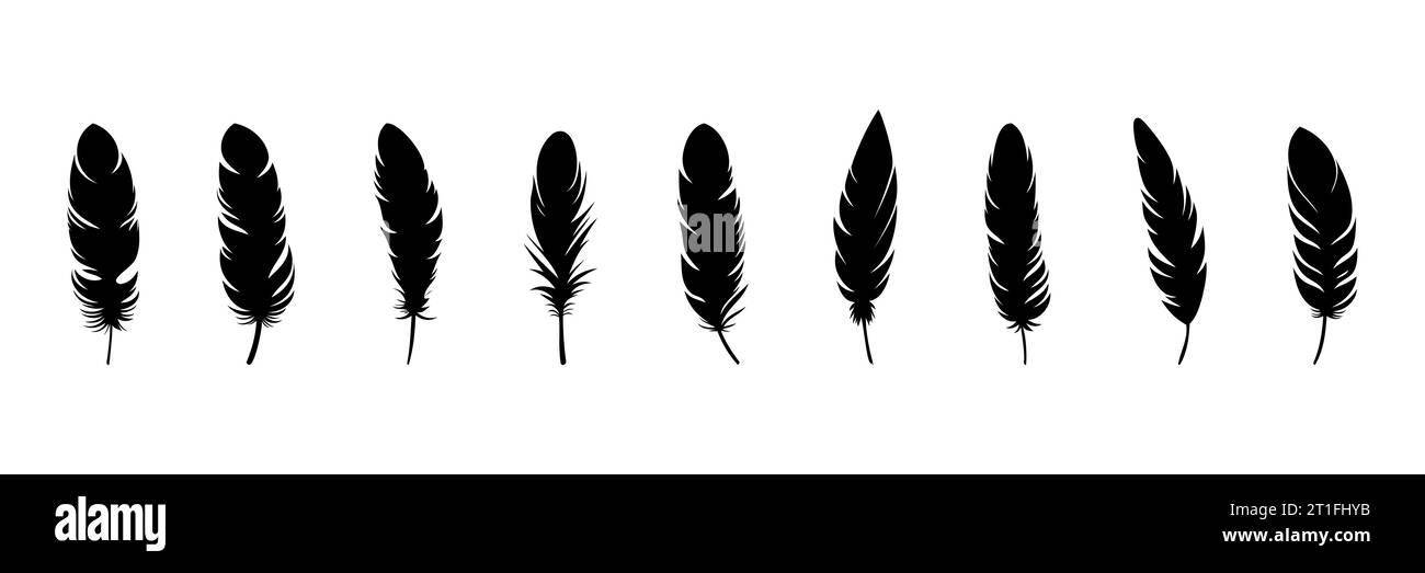 Feather Set icon, logo isolated on white background. Vector ...