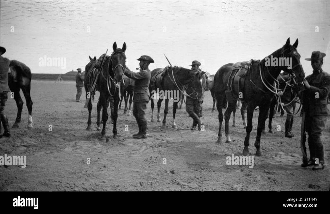 The British Army in Pre1914 Period Troops of the Lothian and Border