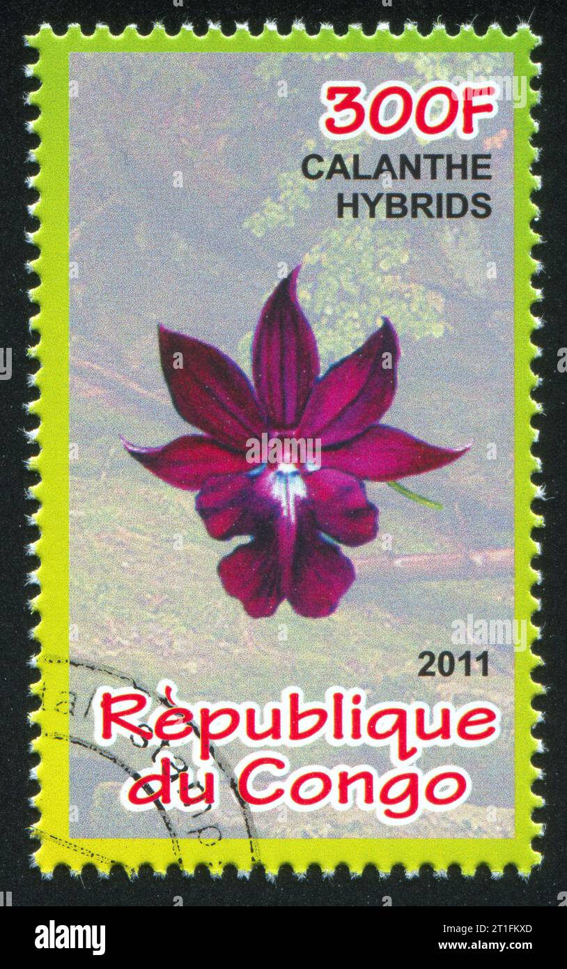 CONGO - CIRCA 2011: stamp printed by Congo, shows Orchid, circa 2011 Stock Photo