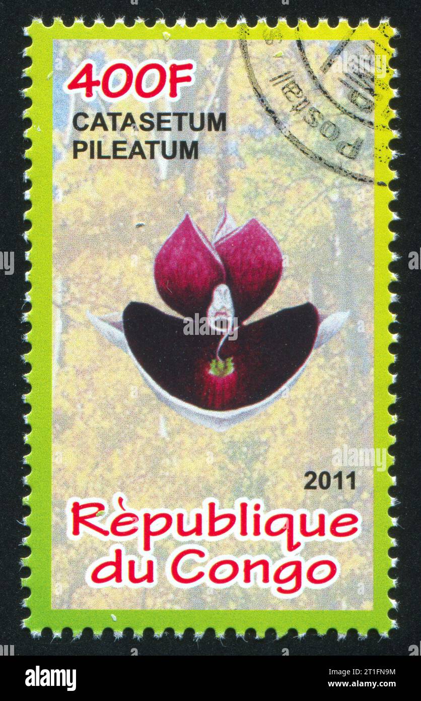 CONGO - CIRCA 2011: stamp printed by Congo, shows Orchid, circa 2011 Stock Photo