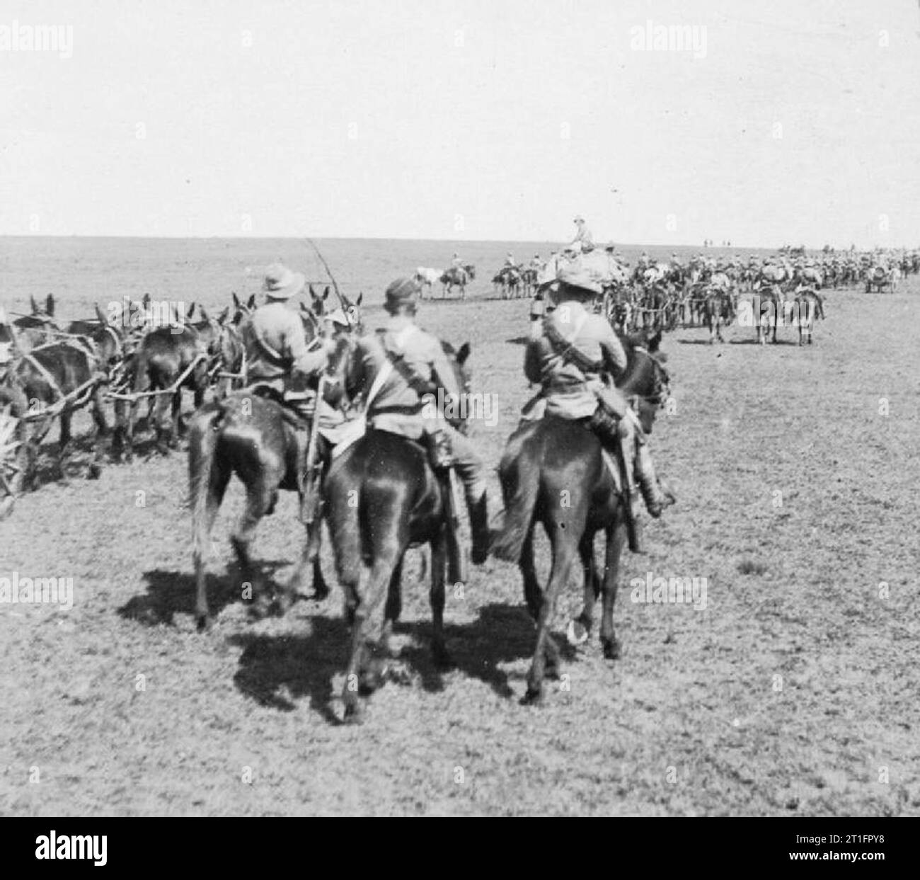 The Second Anglo - Boer War, 1899-1902. Mounted British troops and ...