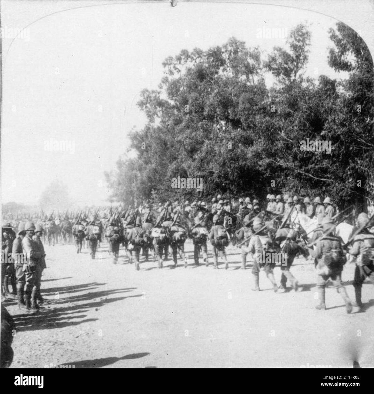 The second boer war 1899 1902 the british army infantry units on