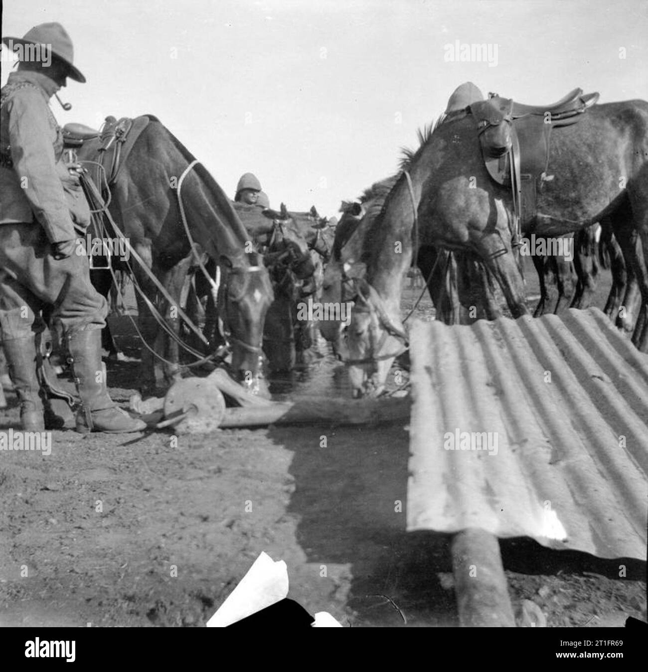 The Second Boer War, 1899-1902 British mounted troops watering their ...