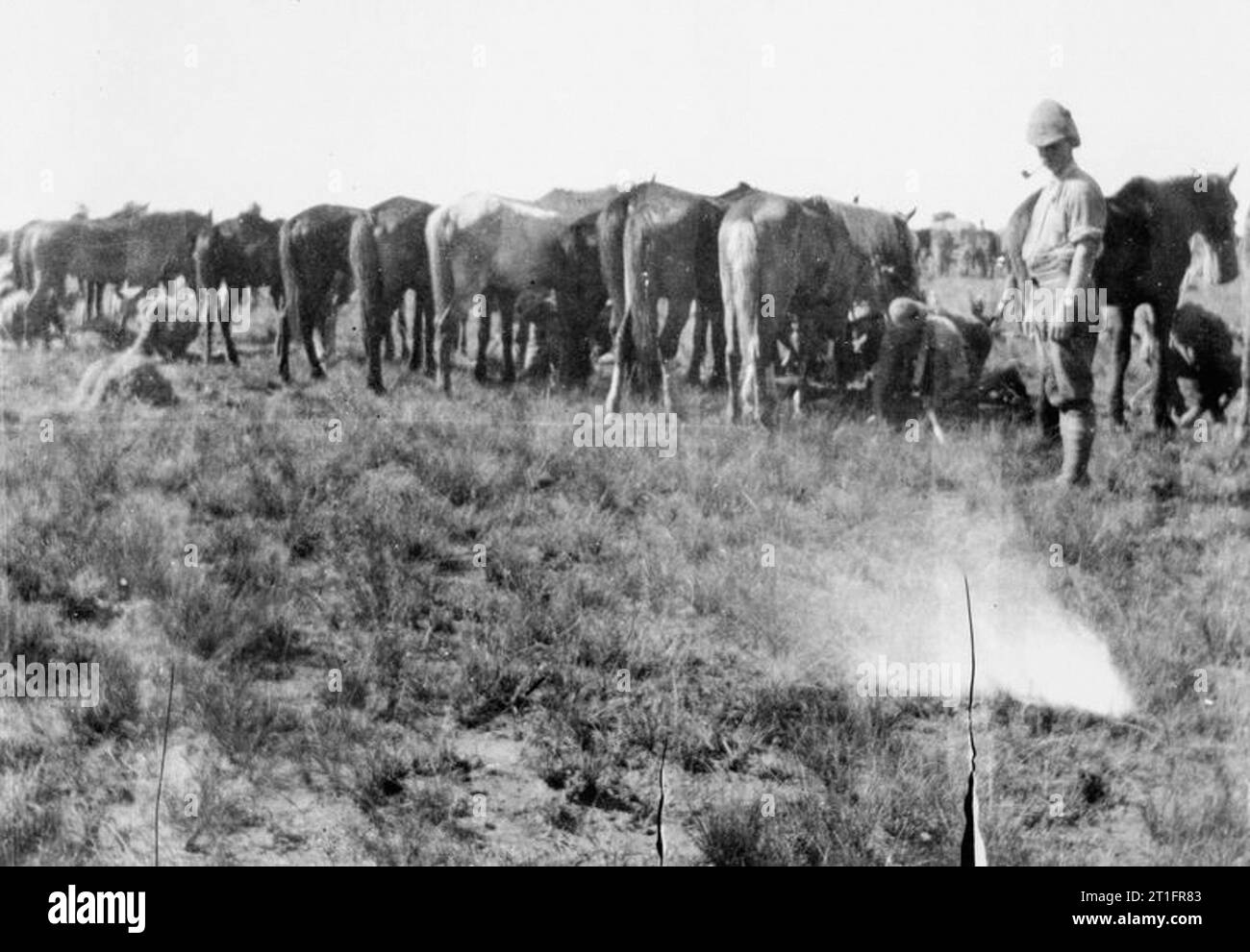 The Second Boer War, 1899-1902 Troops of one of the British regiments watering[?] horses near their camp. Stock Photo