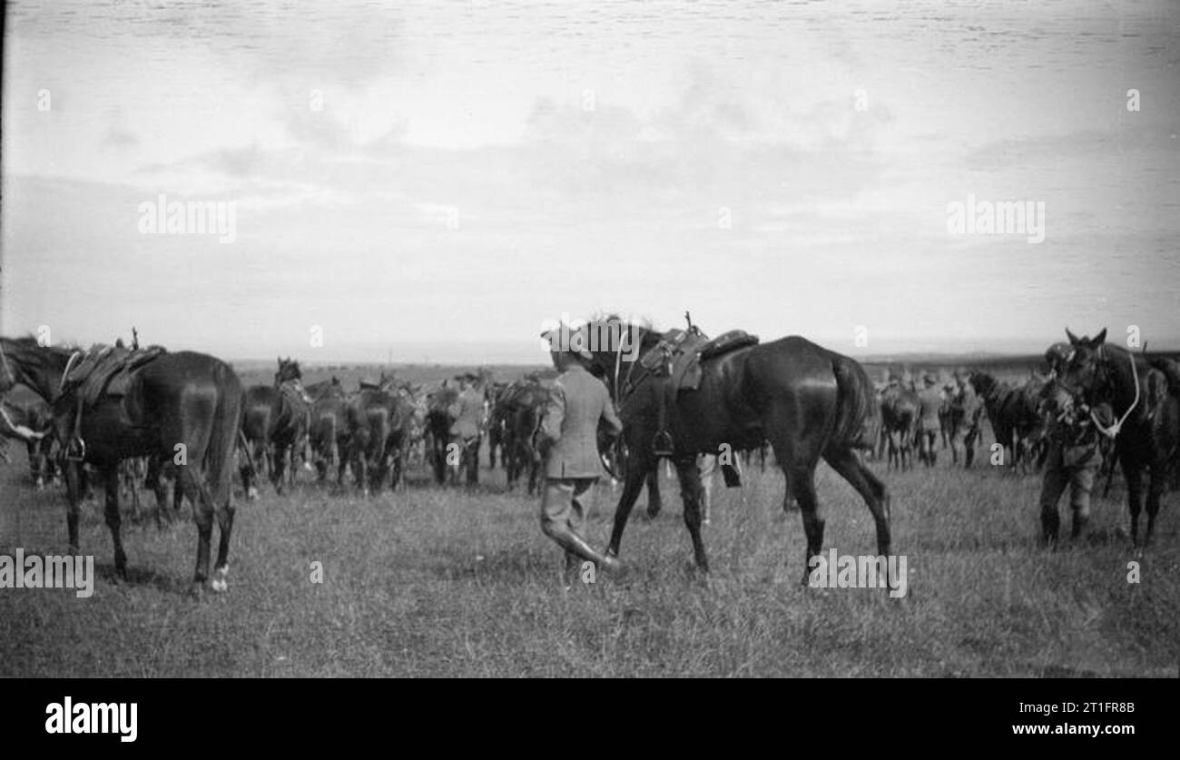 The Second Boer War, 1899-1902 Troops of one of the mounted regiments tending their horses in their camp. Stock Photo