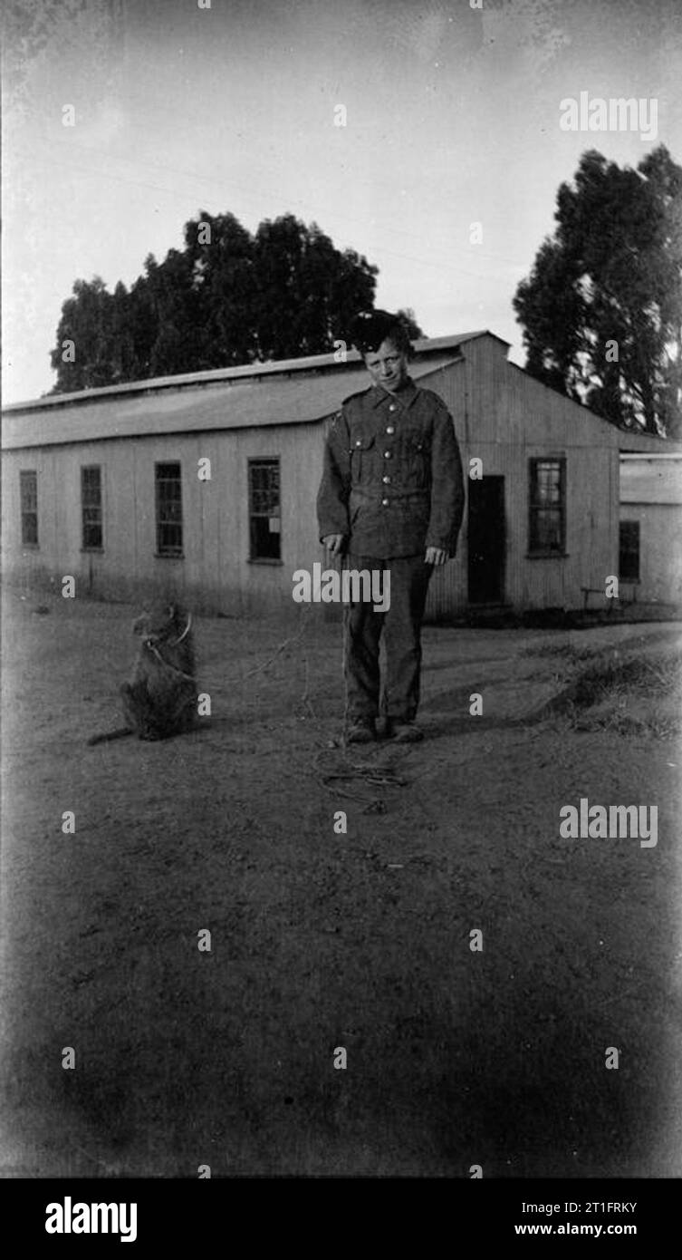 The Second Boer War, 1899-1902 Drummer boy of the 5th Fusiliers and pet
